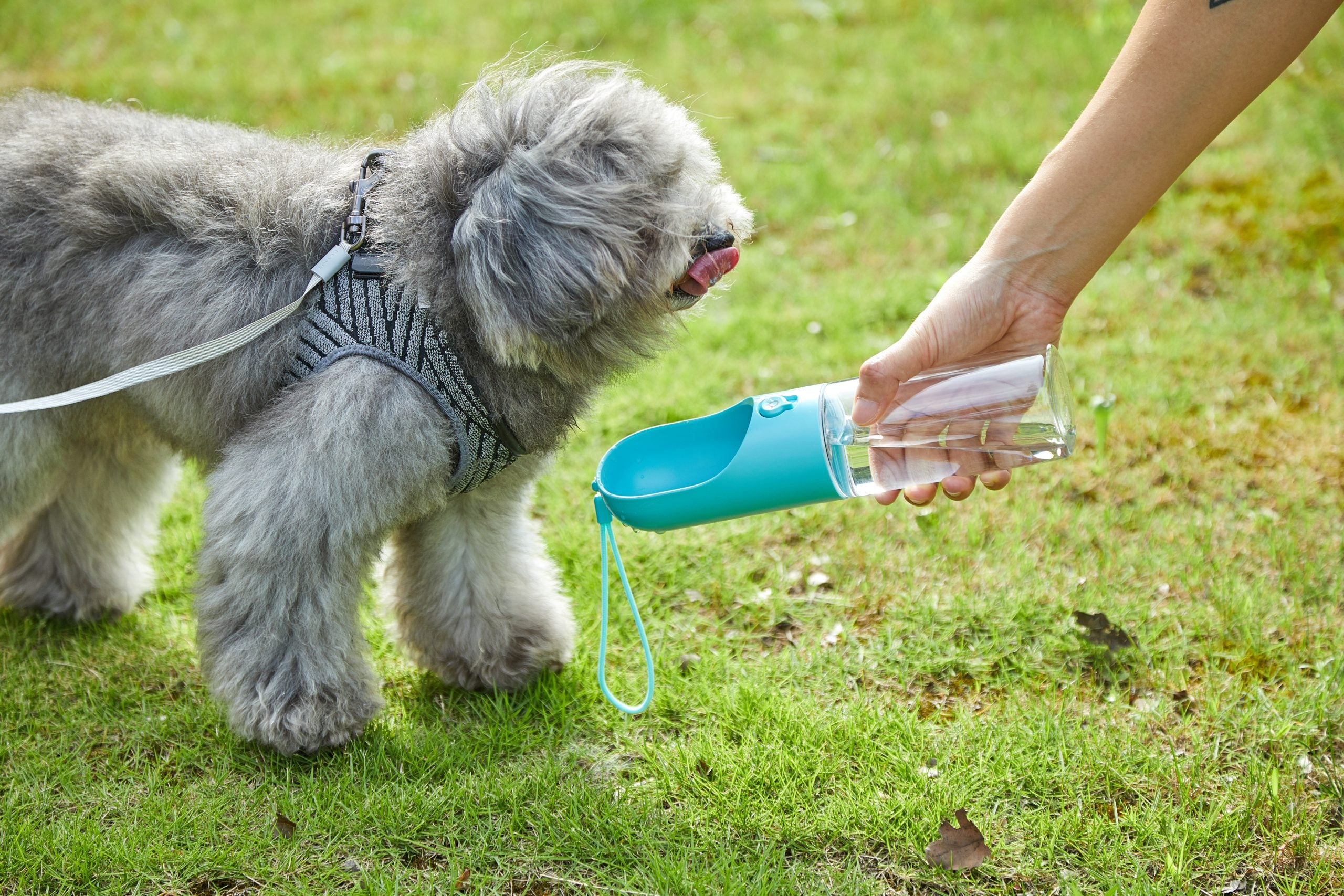 Blue Portable Anti-Bacterial Pet Water Bottle (400ml)