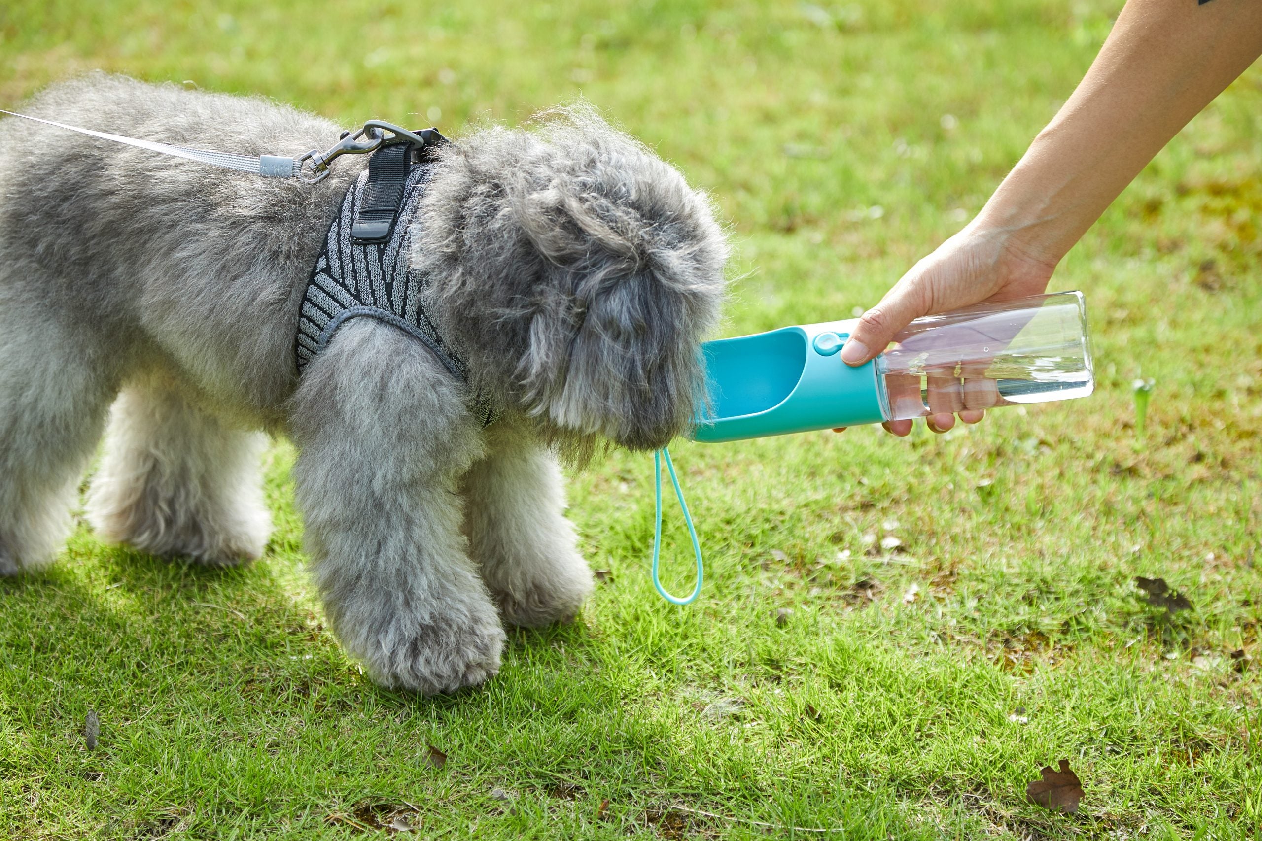 Blue Portable Anti-Bacterial Pet Water Bottle (400ml)