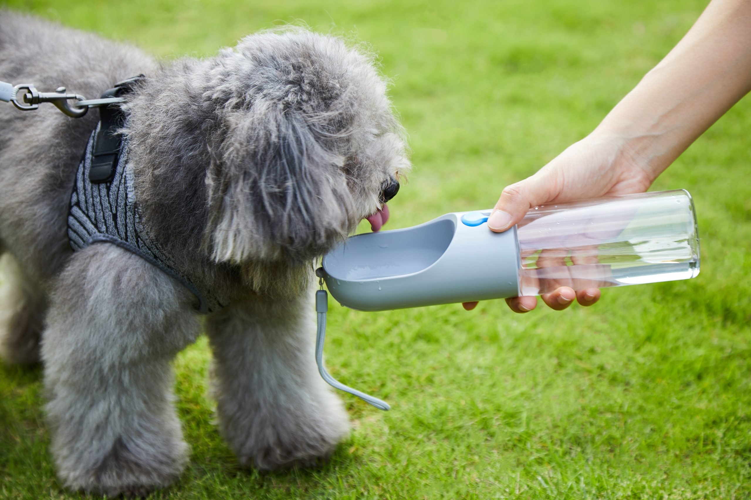 Grey Portable Anti-Bacterial Pet Water Bottle (400ml)