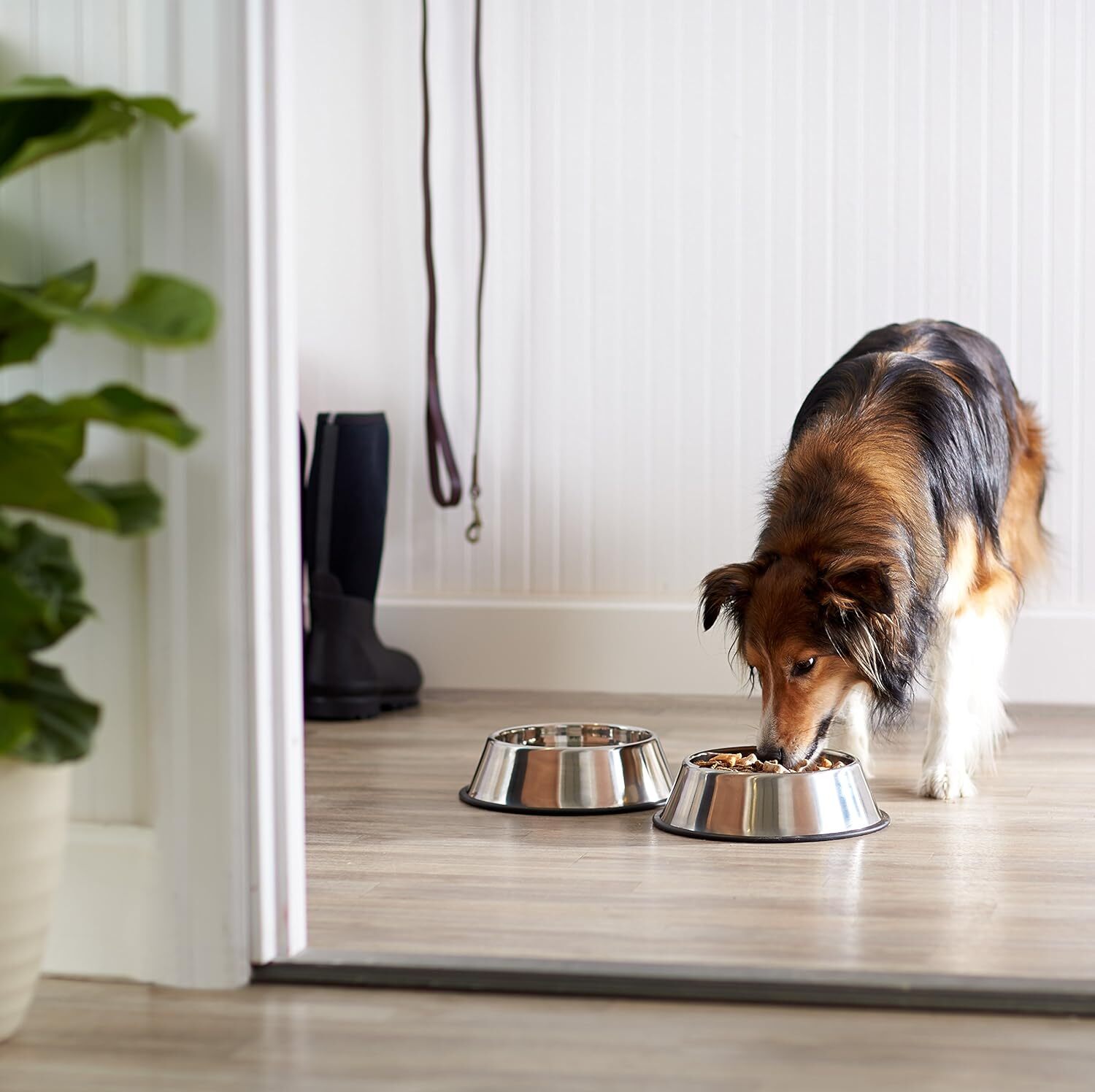 XX-Large Non-Slip Stainless Steel Pet Bowl (1 Litre)